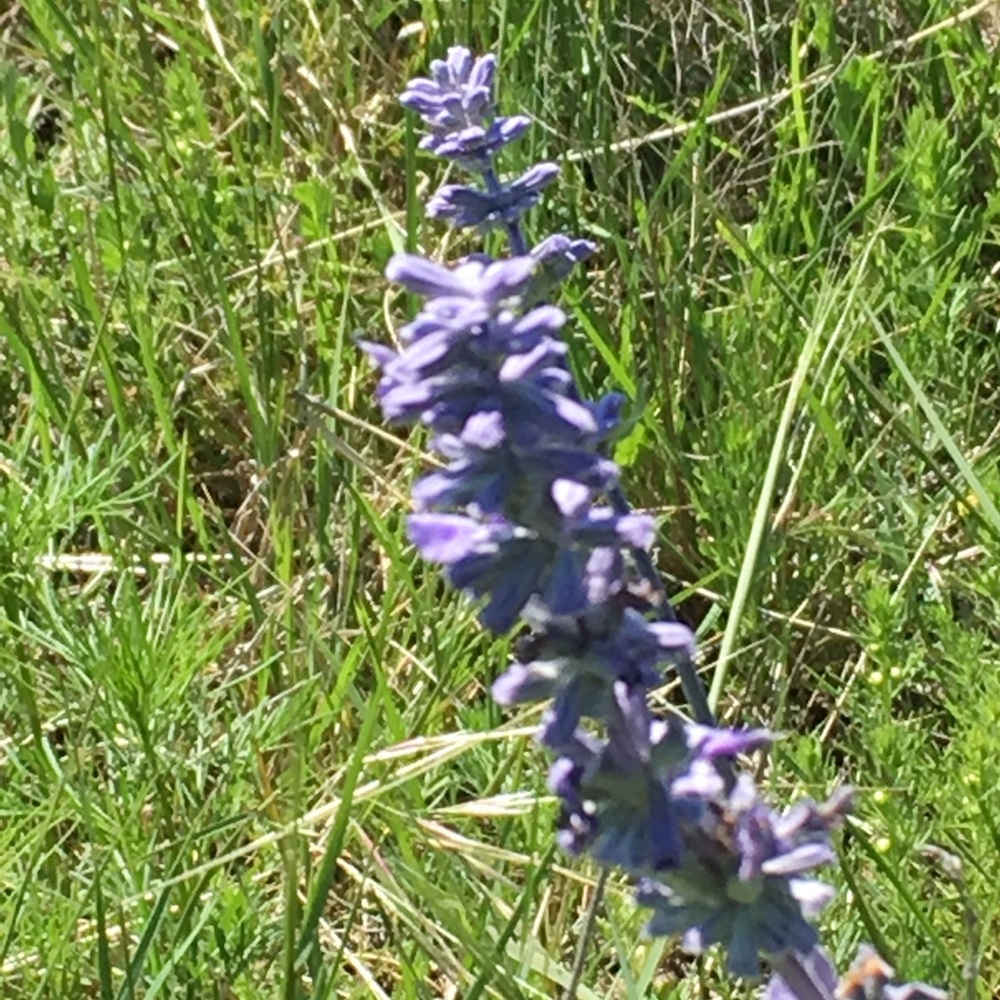 Meet your Posher, Deb